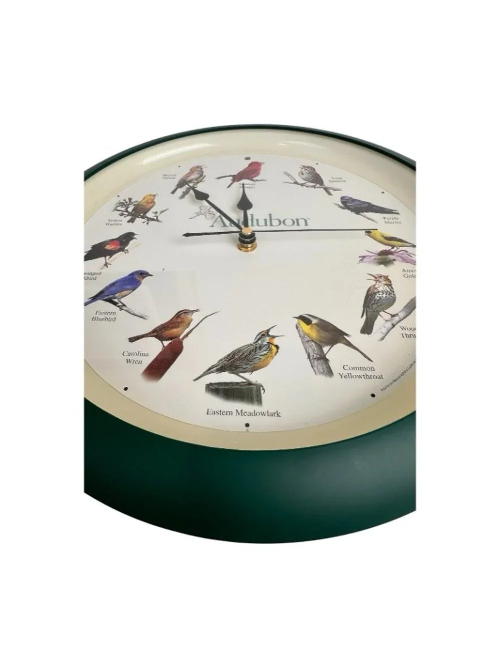 Audubon Singing Bird Wall Clock Nature Birdwatching Decor Green Round Clock